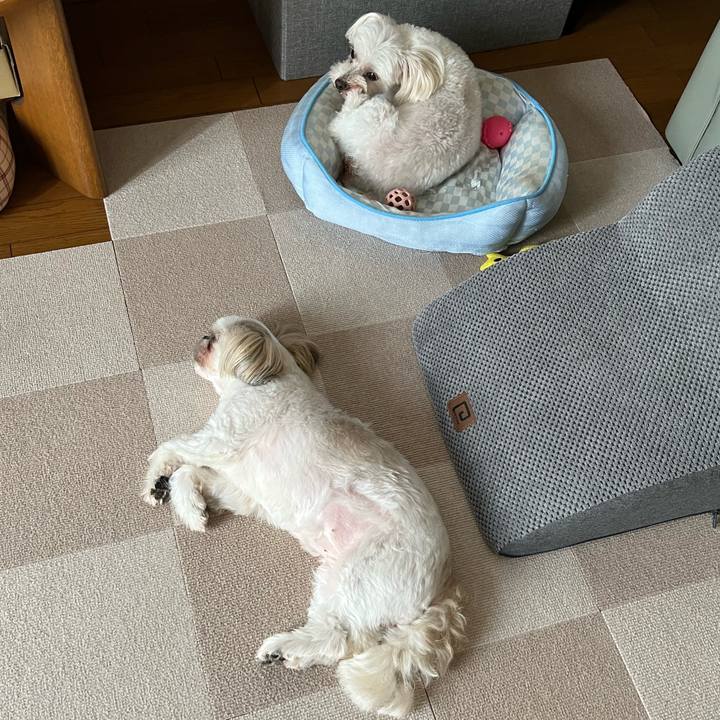 56e8ee95 853f 4855 8538 c020a64a1fba 1752634389345