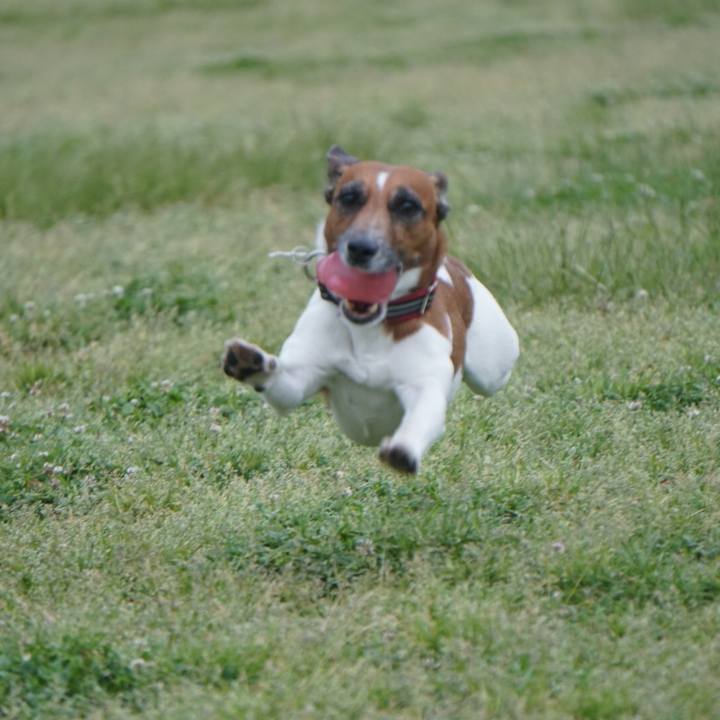 56e90464 89c8 4842 85c3 68cc7592fef1 1557700822262