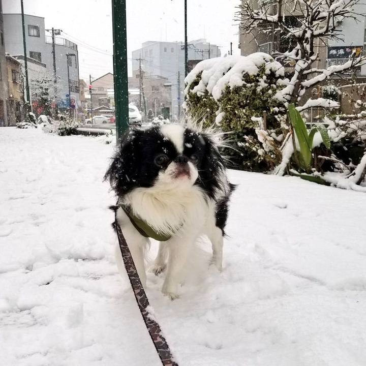 56e91b70 ab00 46fc a7f7 02b73d141a0c 1676018377561