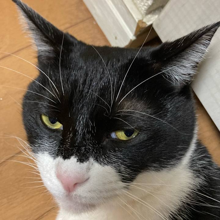 56e92c08 fd2e 4bd1 be08 9f9ca3fa11ed 1672471869793