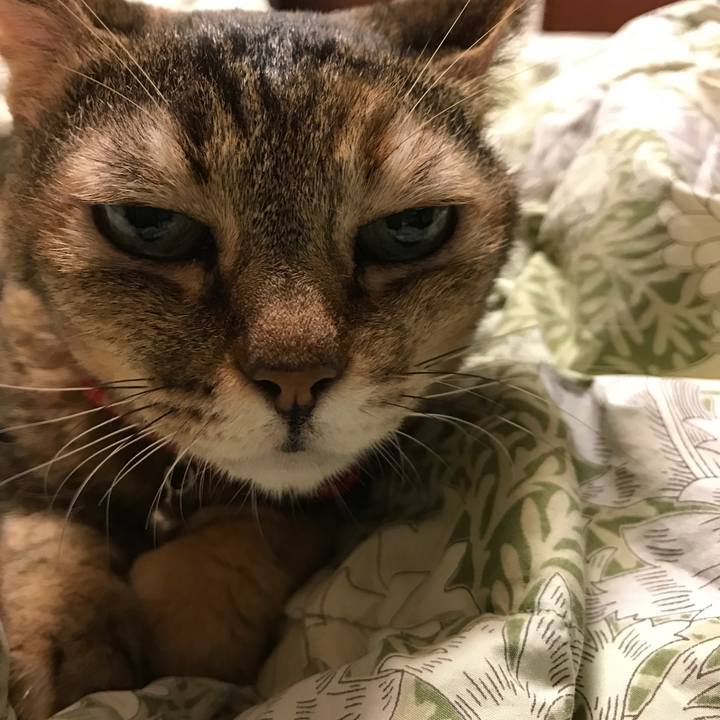 56e96217 447b 4cd1 9fec 13a4278958a6 1539033970887