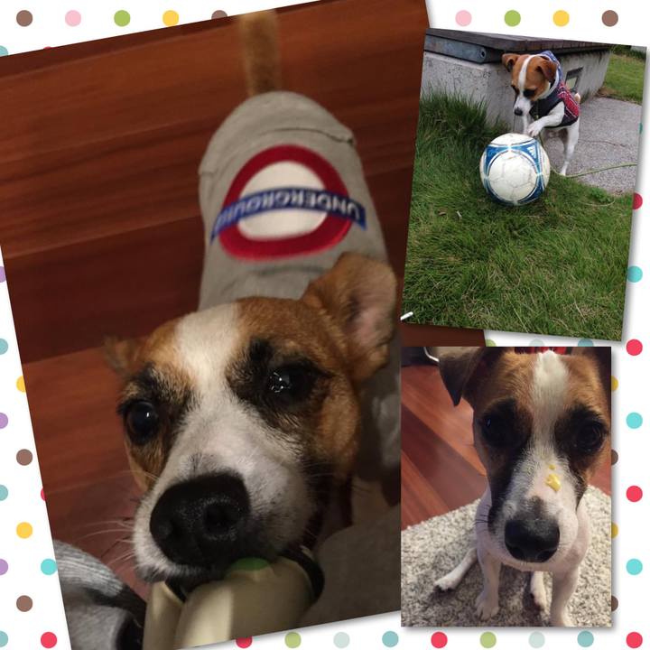 56e97a9b 7f0e 4371 8a50 2a91c102c41f 1666395610922