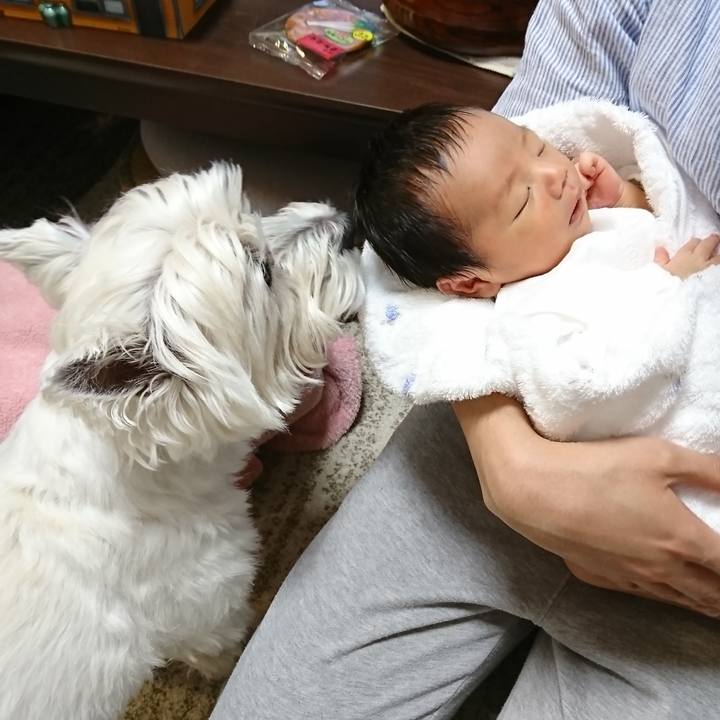 56e9ac67 63ad 4cf0 bfd3 a816ec683467 1557662101167