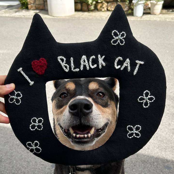 56e9db8d 8a97 44d1 a395 cf7537d72210 1728220516639