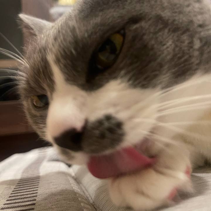 56e9fc15 fa3c 4f7f 9c1a b2f351245747 1753451857358