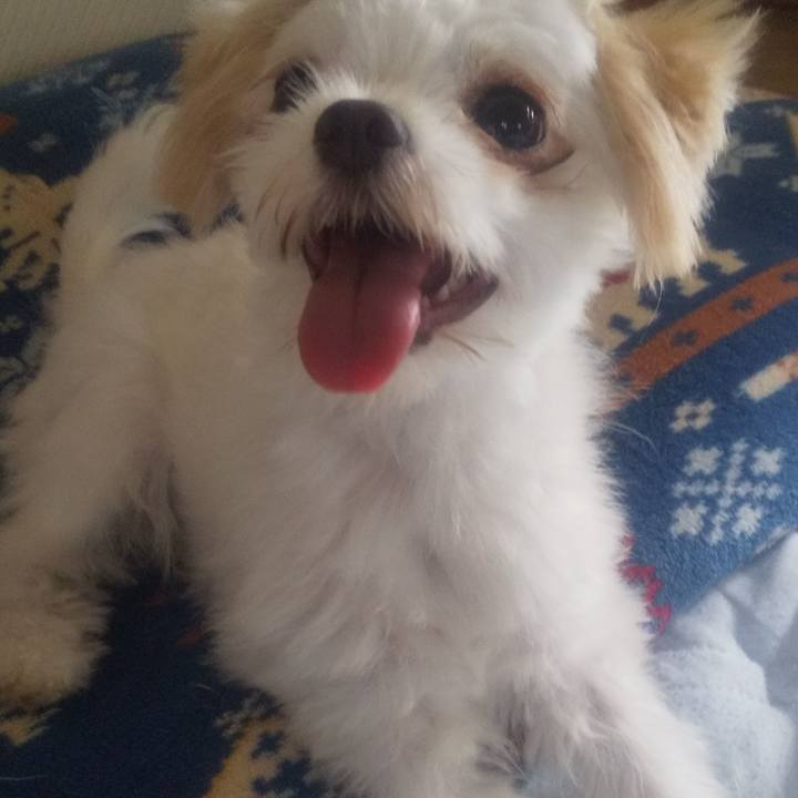 56ea0faa a2b8 46f2 81e8 70f1c80b4b19 1689894758586