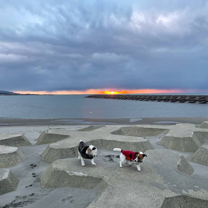 56ea1b5b 8854 4120 a5bf ec1a5d97da3a 1676627476927