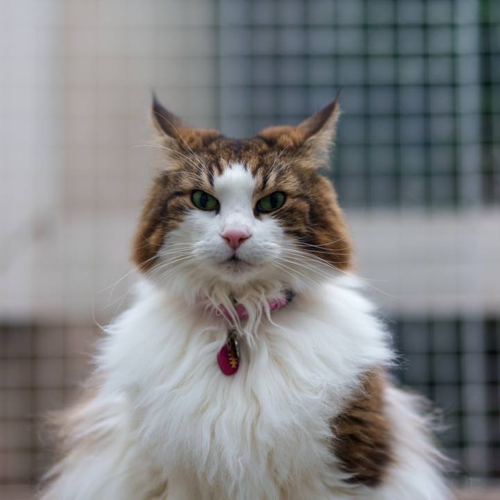 56ea36e4 9a00 4e91 9511 52b81de6cdf3 1765269308991