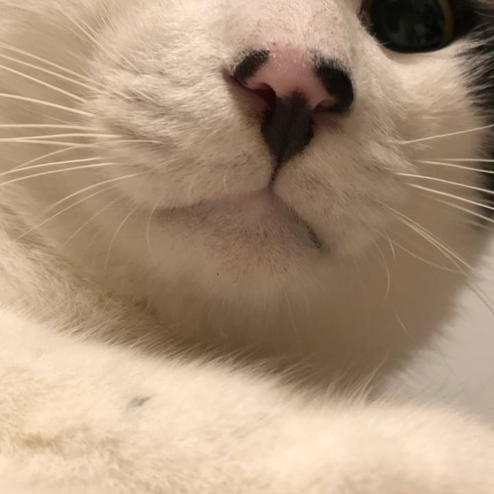 56ea5a1f 6f28 42aa 9acf 8d47b8521d5e 1563387096818