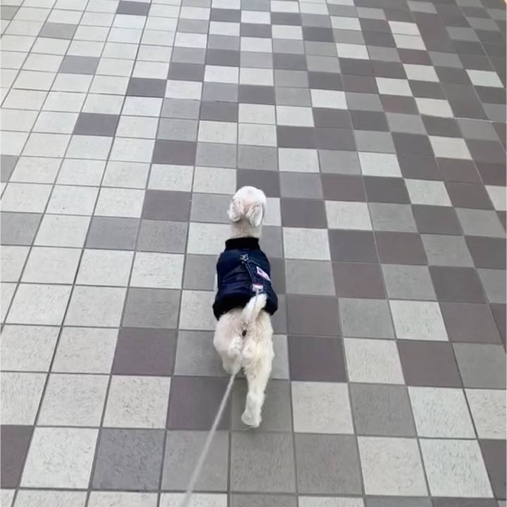 56ea5ab2 82b0 456f acc8 58502394b2eb 1550312444005