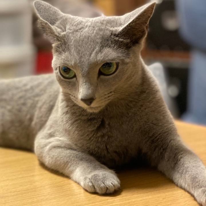 56eab68a 277e 4ba2 aacb 20bc1b5fbeda 1629414141401