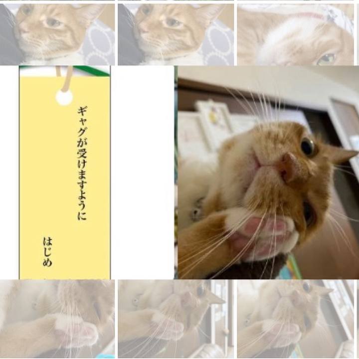 56eac1b6 9f9b 4171 953a 80f4a32b1a9c 1688742601020