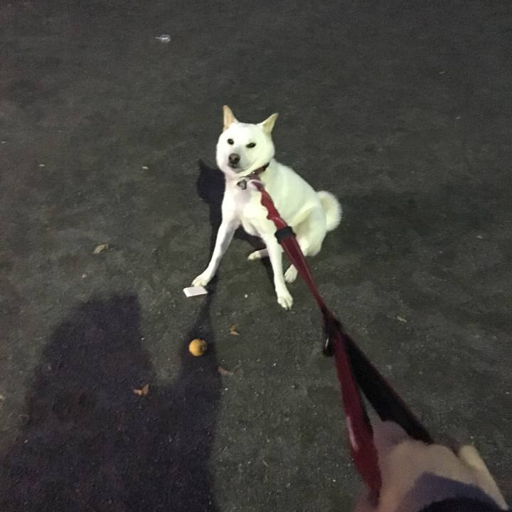 56eac706 6ddb 4d16 aa0a c07367142bdf 1541580396592