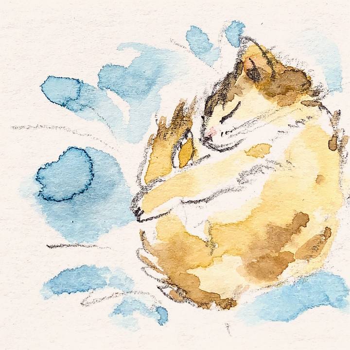 56eb1414 4dfb 48da 951a e0e57683e2cd 1642132989096