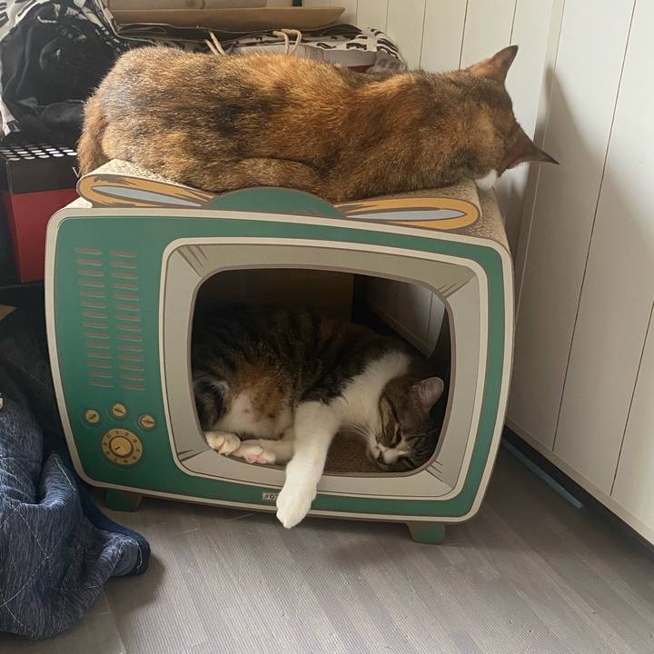 56eb2160 1d5f 4ec3 9037 721303c382a6 1631414960468