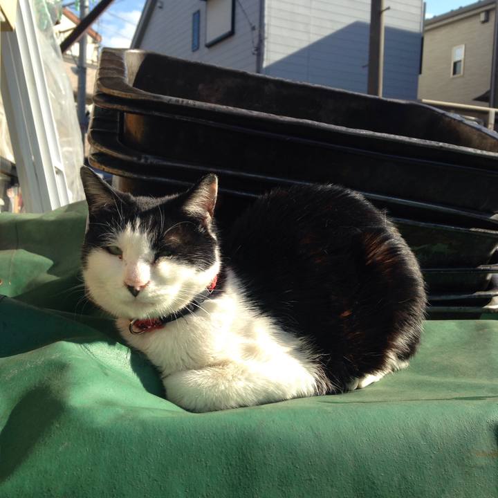 56eb28ab e2c0 4261 9764 a73edda590d1 1513797889498