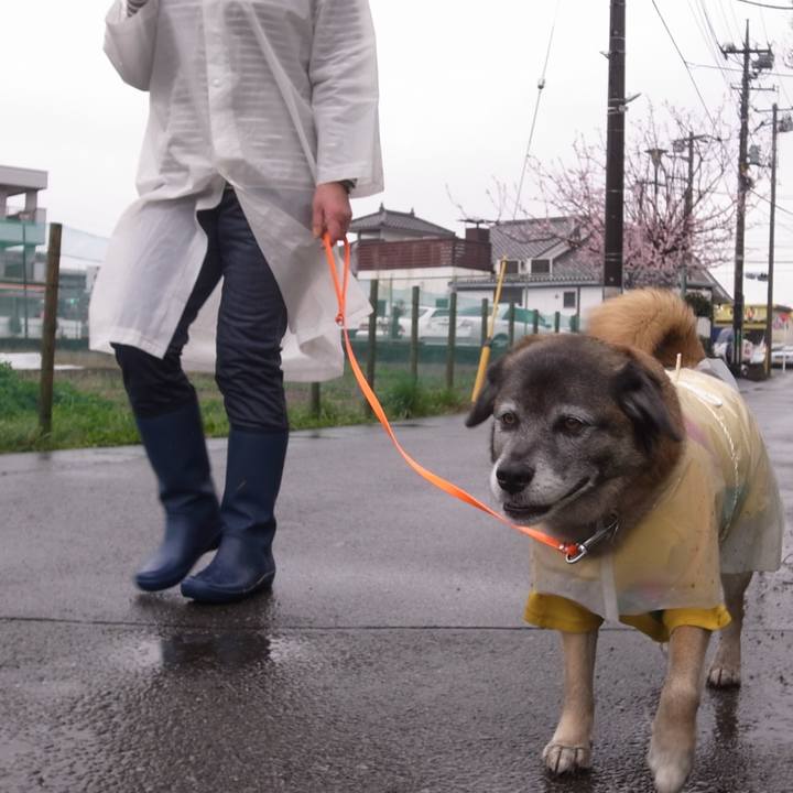 56eb2916 ed9c 4728 b09f bab1ee03179c 1601681846809