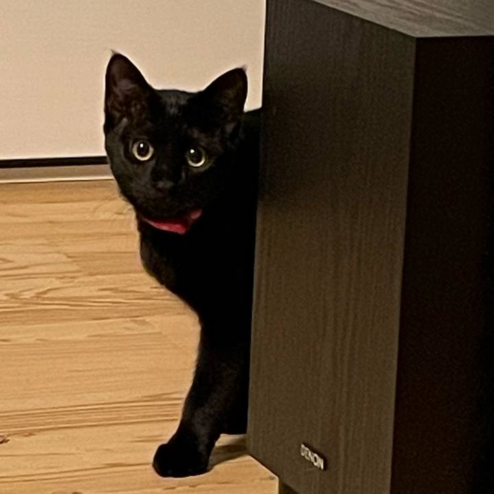 56eb2e50 ce90 44e2 bc81 013b9dbc9496 1686207387989