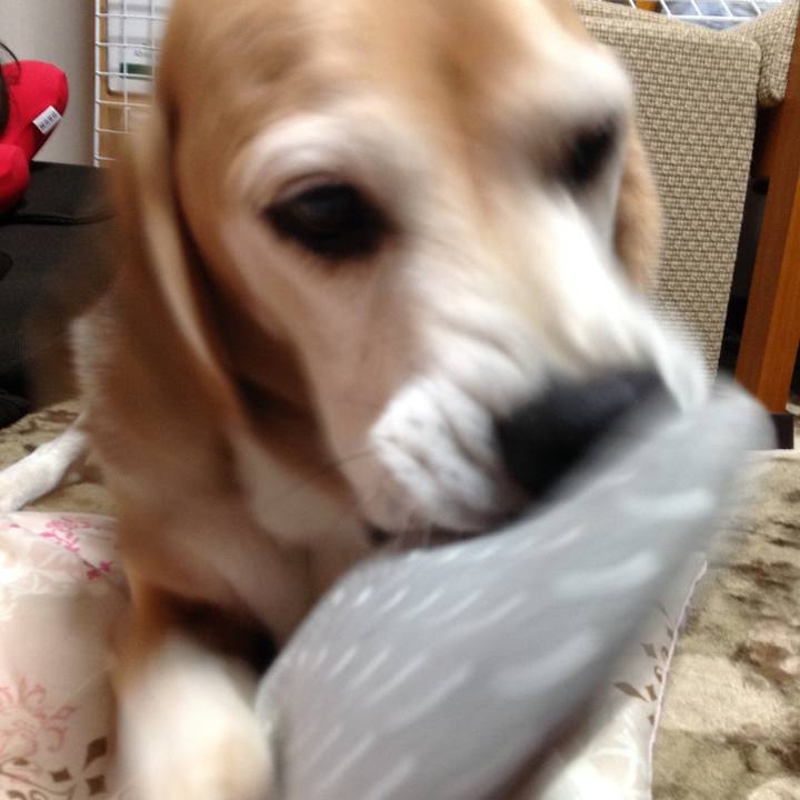 56eb3dcc e10c 40f8 ab2c 93c19b4468d5 1632741312665