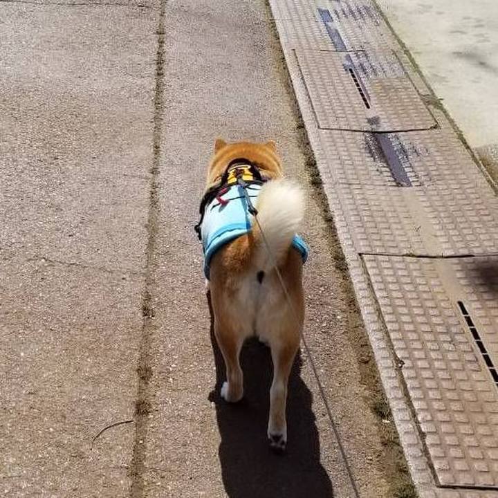 56eb6a14 06b5 4a1e aa0f 4d61a5f9d4f9 1584446674298