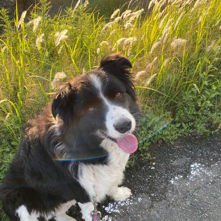 56eb7e65 6586 4340 a526 a9c6dd8a3c96 1622112737007