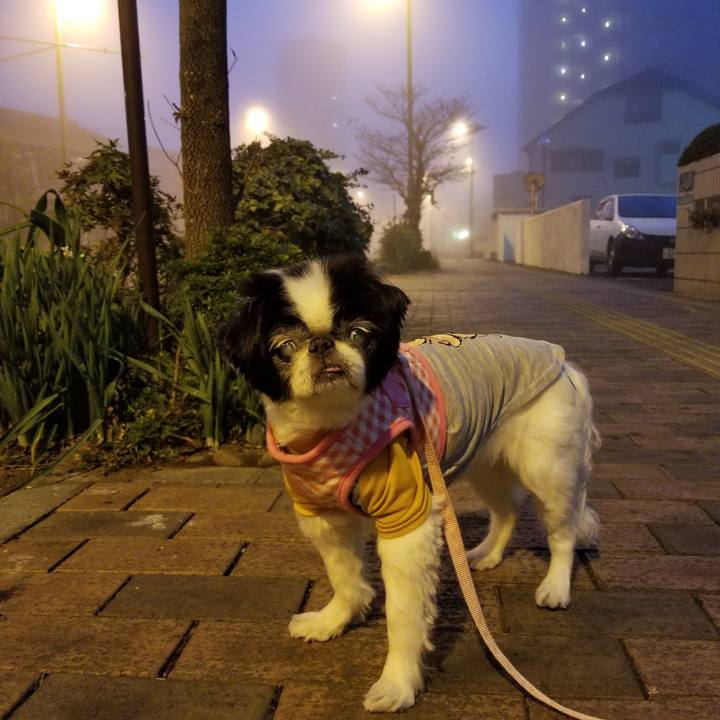 56eb92e7 fe47 417d b9c3 05122bb9d9d2 1606341261074