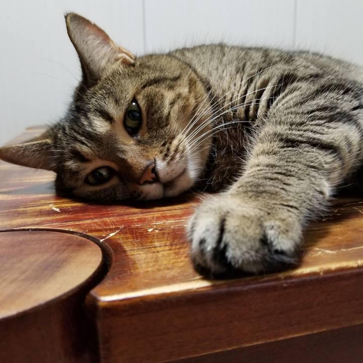 56ebb9e3 66e4 4da7 ba42 1b4be1356b0d 1598996402214