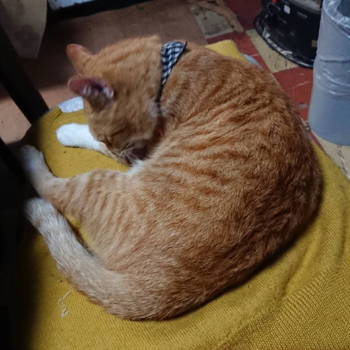 56ebdbed 6492 4200 a7b7 0ab2ca7f1365 1570103856130