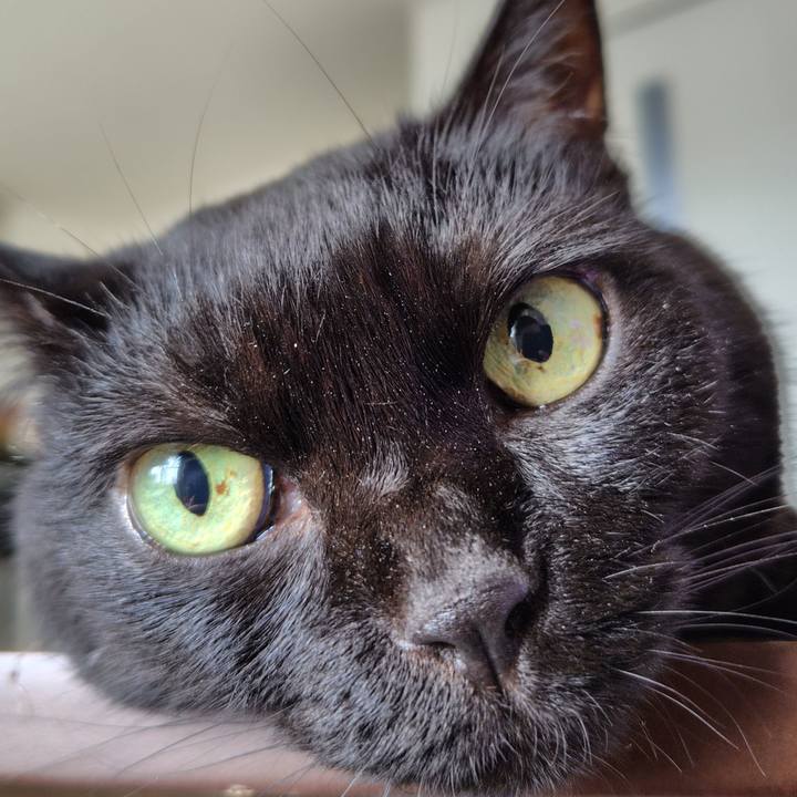 56ebe8dd 445b 4bdd 948d 8c0fde9db795 1755296418465