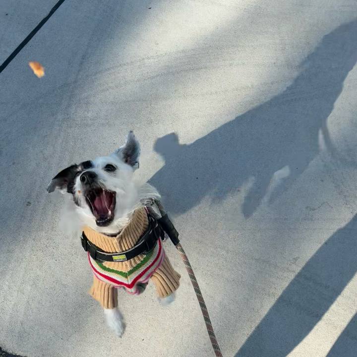 56ebf4f0 3311 45fa a502 b625bf771e66 1771458136851