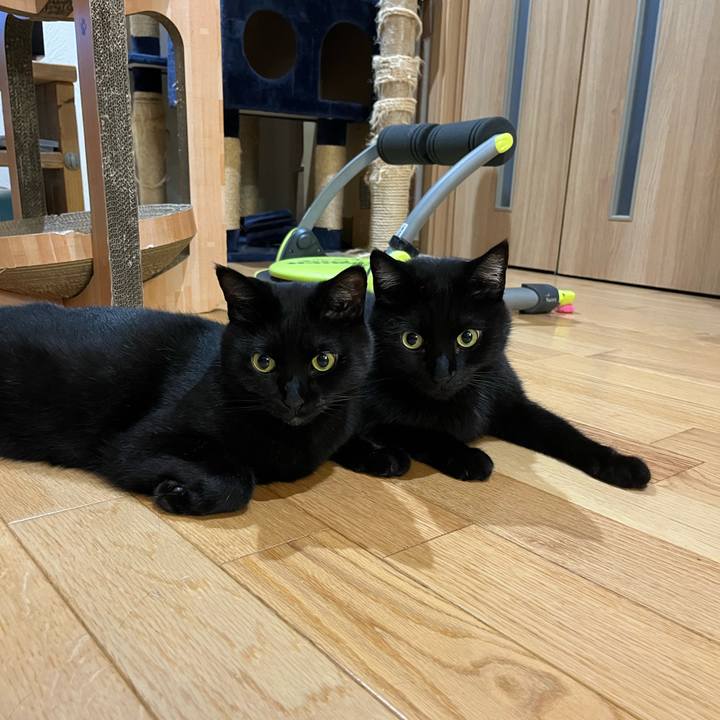 56ec0005 cf44 4841 b7d5 6869be6c1cdd 1721994919819