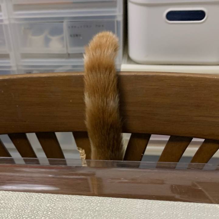 56ec43fc 88b4 4cef 9be1 9cae8bea2610 1611527545386