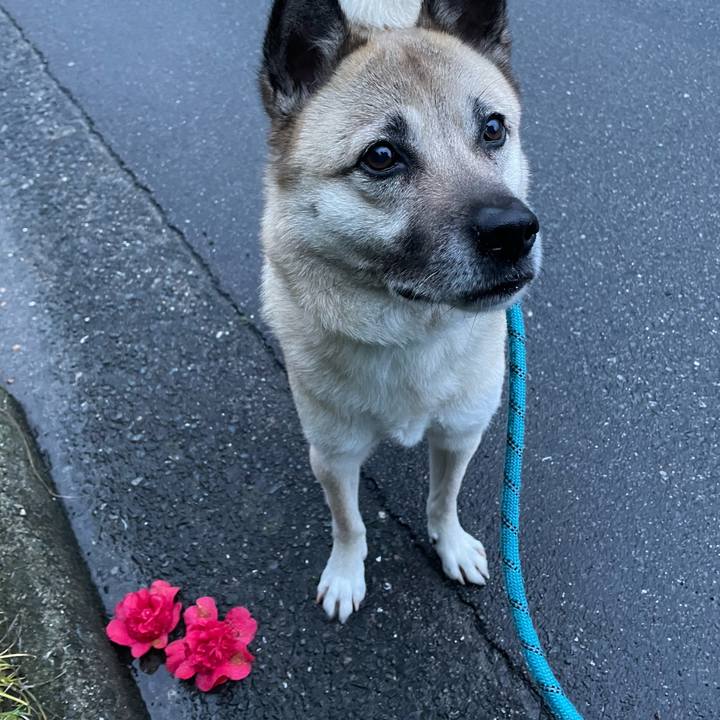 56ec9538 c83e 4a21 8bfc b07af5a5a8ce 1679578274523