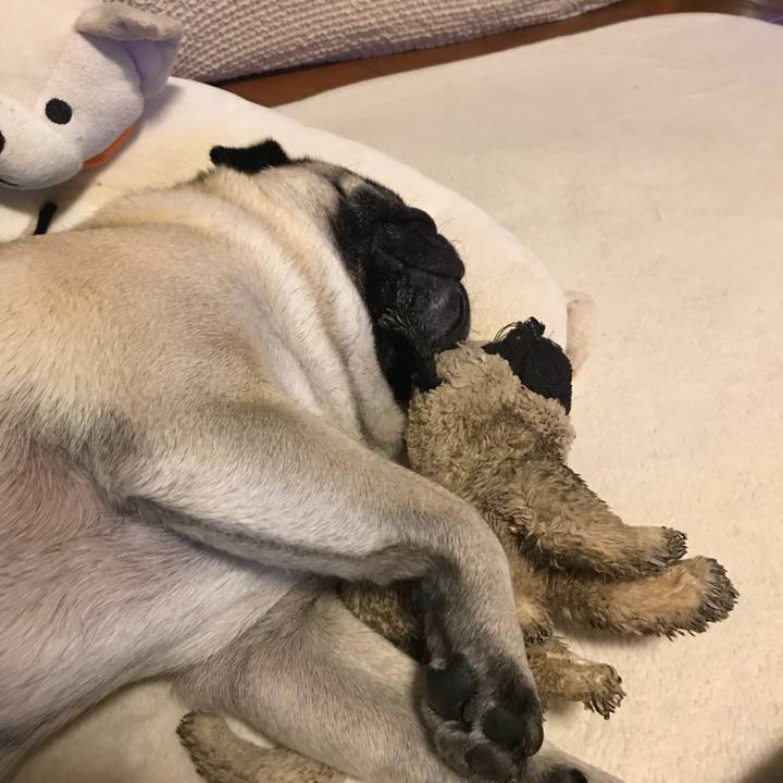 56ec9ce2 ff37 479b 81ce 30967c6c9aef 1527512465013