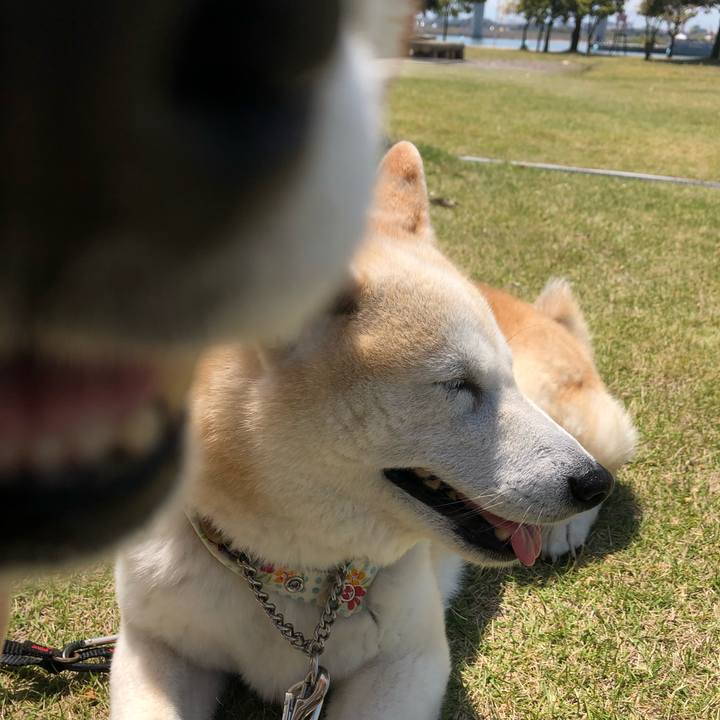 56eca414 c263 4d0e ba75 5a7b5f1fd26d 1557056735289