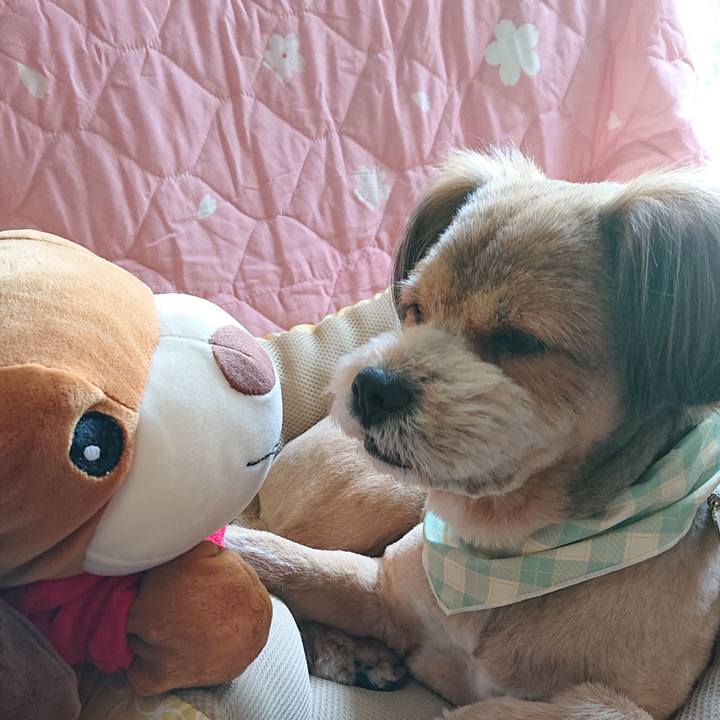 56ecbbe4 ed94 449e a4e5 5b6f9fc005b2 1557375305673