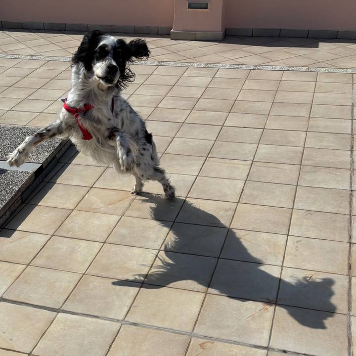 56ed0912 aa99 4d7d bebb a39bdf12c4a1 1773924727030