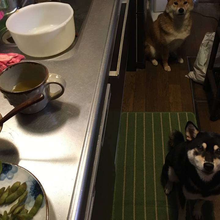 56ed3ef8 6754 4be5 927e 056a74836164 1538302747213