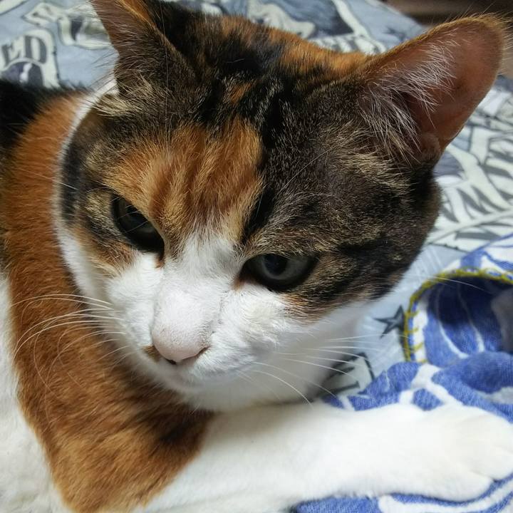 56ed7c1e 52c7 4fe5 adcc 4322fc905e39 1530827242525