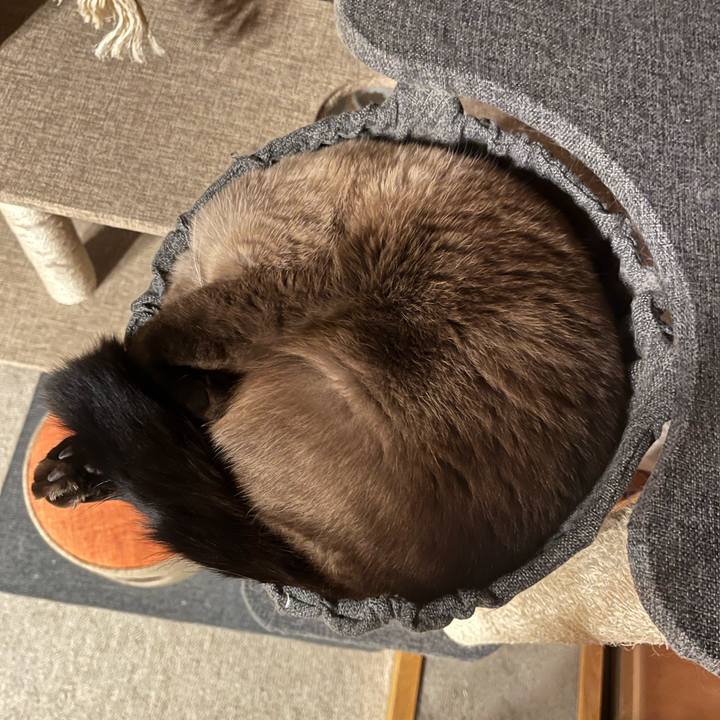 56eda5af adac 4581 be1c ea5e1cc592f0 1637453481061