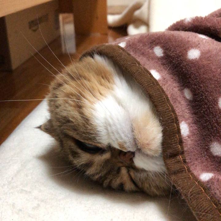 56ee2c73 cdef 42e8 a925 10f3d12edf0e 1539685004779