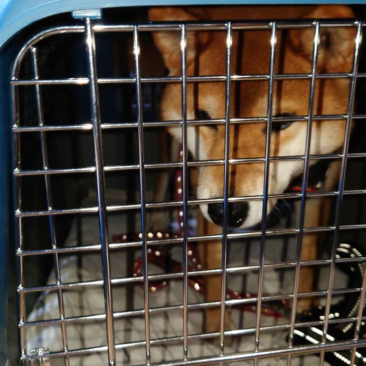 56ee91db aa46 482a 9bbe 56a49237ed68 1767054304118