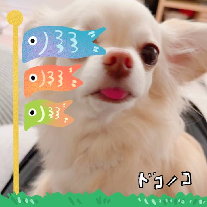 56ee96dd 680e 4ede 81a0 c557200660ac 1714877443301