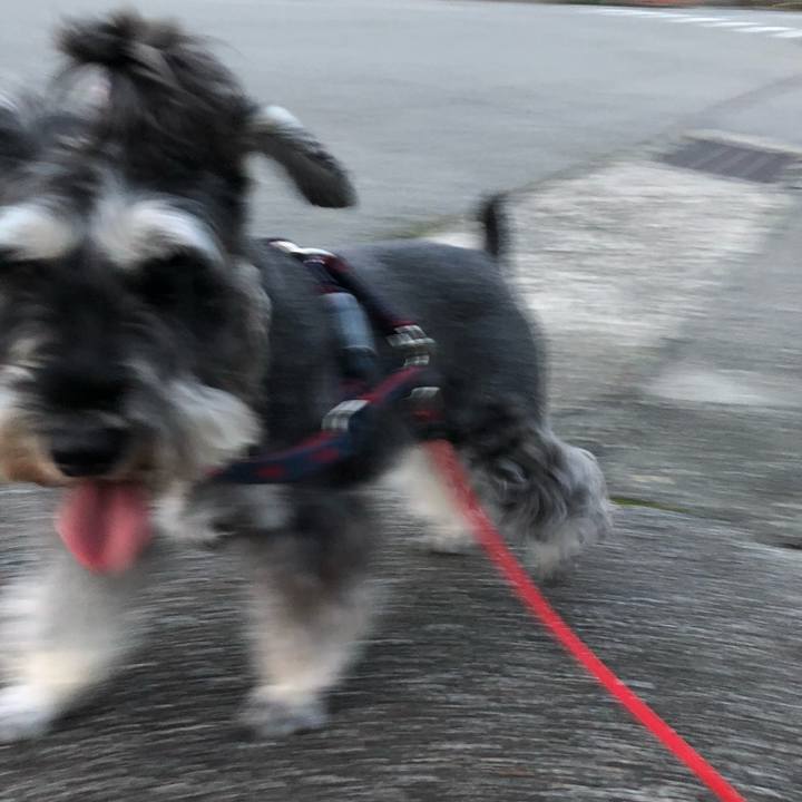 56eef004 86b7 4389 b585 599530846363 1625915297593