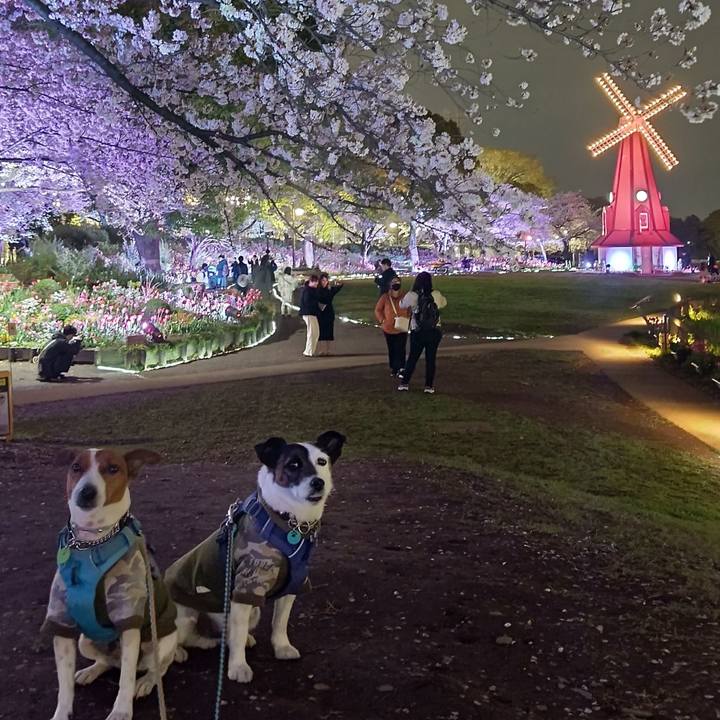 56eef696 cd21 43cc a8b8 880f5e6274ce 1679914985842