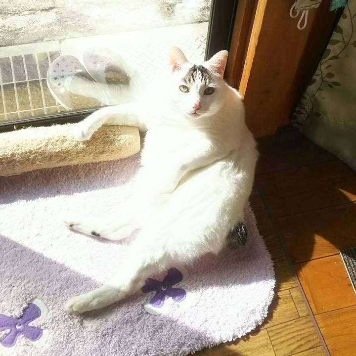 56ef43f6 7b91 4386 aff9 8f88690e422f 1543748501717