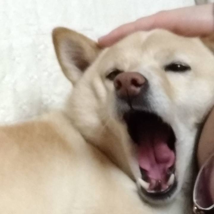 56ef52a8 a016 4172 869a dad61efc2406 1610541141816