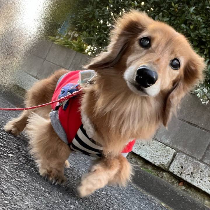 56ef78ac 7b03 4742 b378 a7d1070a1776 1678715462629