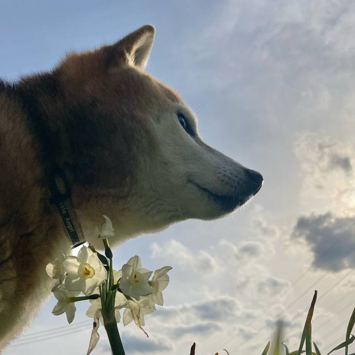 56efaffb 5e63 4f80 9185 3e6d1a870f55 1743838713681