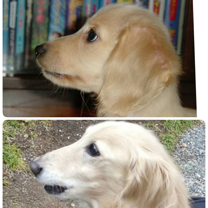 56efef96 f27b 4c24 adf7 20a5d9d566f1 1551933667894